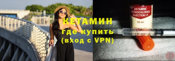 индика Аркадак