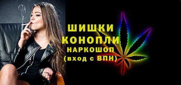 индика Аркадак