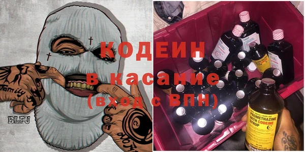 индика Аркадак
