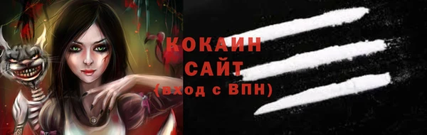 шишки Армянск
