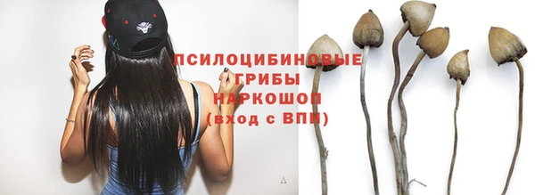 прущая мука Арсеньев