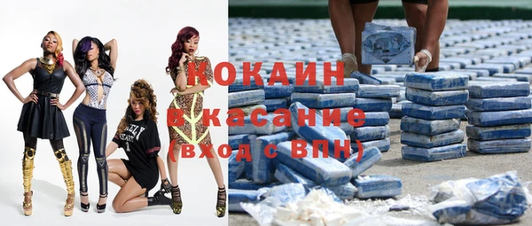 индика Аркадак
