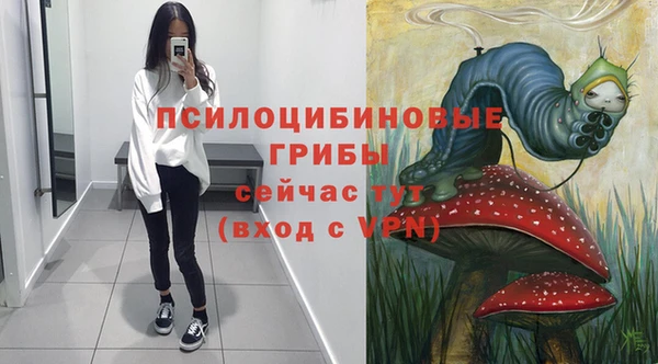 индика Аркадак