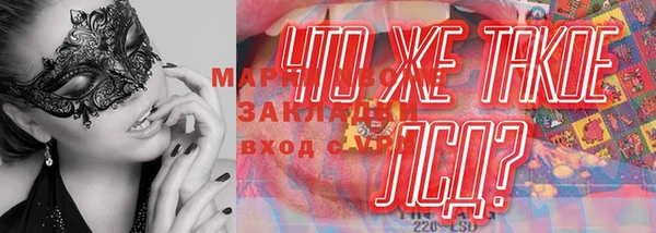 индика Аркадак