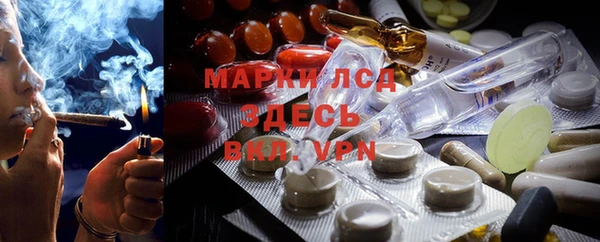 индика Аркадак