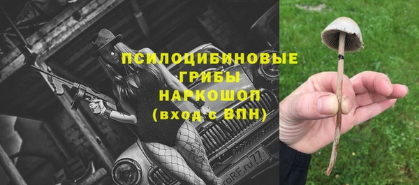индика Аркадак