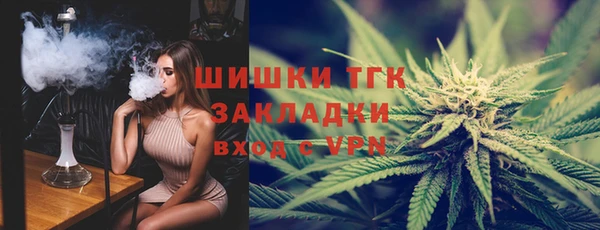 шишки Армянск