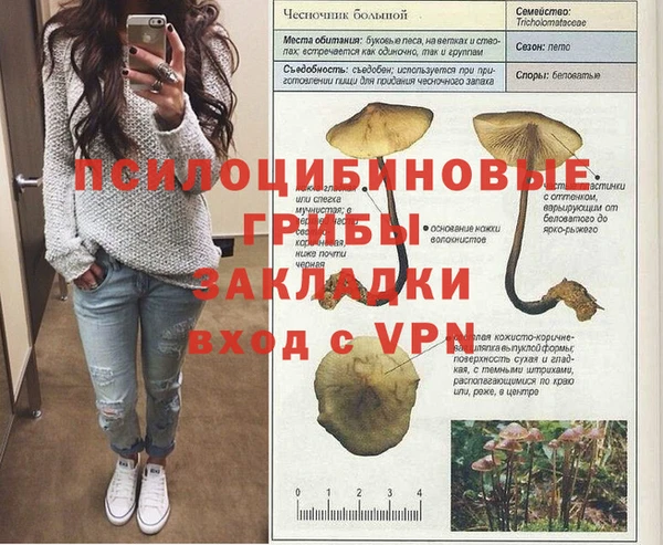 шишки Армянск